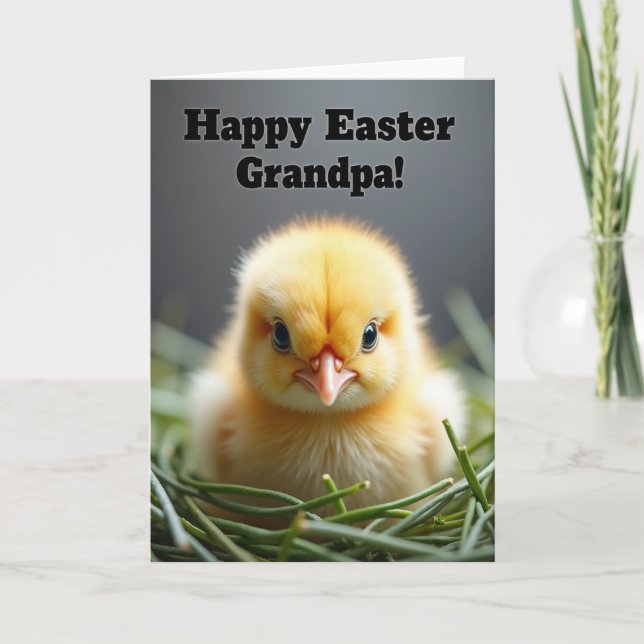 Fluffy Chick Holiday Greeting Card (Front)