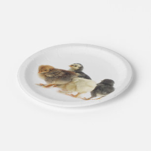 fluffy chicks paper plates
