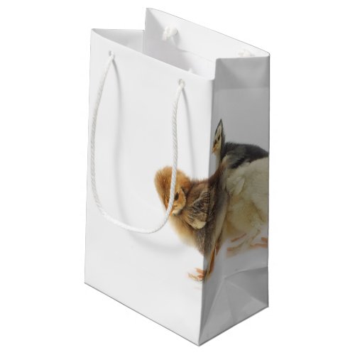 fluffy chicks small gift bag
