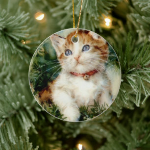 Fluffy christmas cat Watercolor Ceramic Ornament