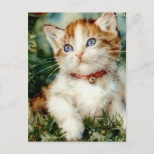 Fluffy christmas cat Watercolor Postcard