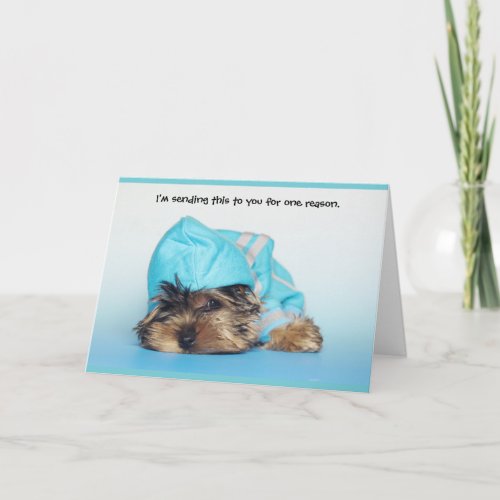 Fluffy Cute Dog Thinking of You Greeting Card