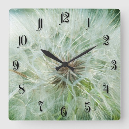 Fluffy dandelion square wall clock