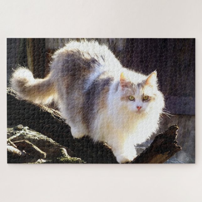 Fluffy Dilute Calico Maine Coon Cat Jigsaw Puzzle (Horizontal)