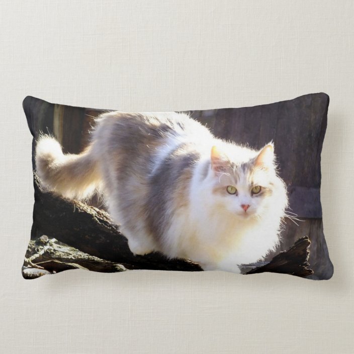 cat lumbar pillow