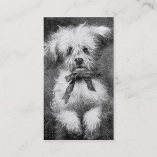 Fluffy Dog Business Card
