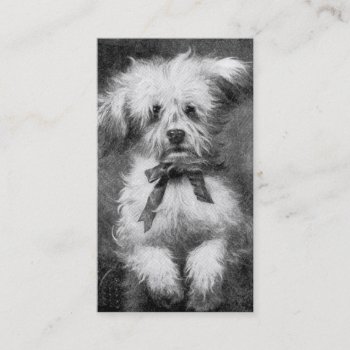 Fluffy Dog Business Card by Ragtimelil at Zazzle