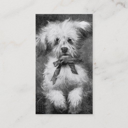 Customizable Fluffy Dog Business Card