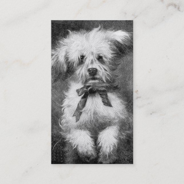 Fluffy Dog Business Card (Front)