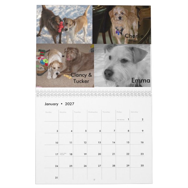 Fluffy Dog Rescue Calendar (Jan 2027)