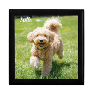 Fluffy Doodle Personalized Jewelry Keepsake Box