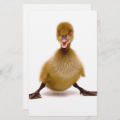 Fluffy Duck (Front/Back)