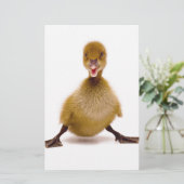 Fluffy Duck (Standing Front)