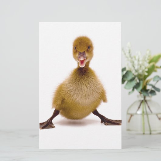 Fluffy Duck (Standing Front)