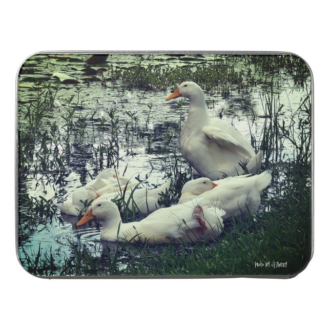 Fluffy Ducks Pond Animals  Jigsaw Puzzle (Case Horizontal)