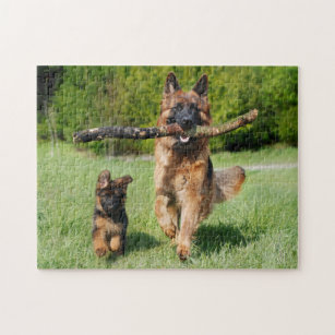 My childhood puzzle from the 90ies #1: German Shepherds (#13053