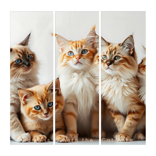🐱 Fluffy Ginger Squad - Triple Cuteness Overload Triptych (Front)