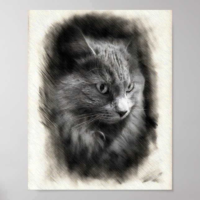 Fluffy Gray Cat Sketch - Soft Feline Portrait Art  Poster (Front)