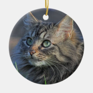 Fluffy Gray Tabby Cat Looking Upward Ceramic Ornament