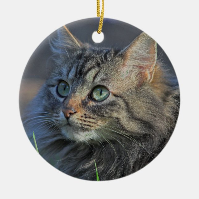 Fluffy Gray Tabby Cat Looking Upward Ceramic Ornament (Front)