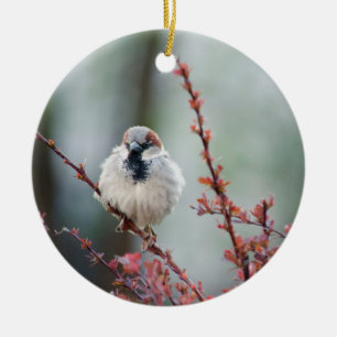 Fluffy Grump Ceramic Ornament