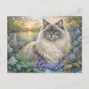 Fluffy Himalayan Cat In Purple Garden at Sunrise Postcard