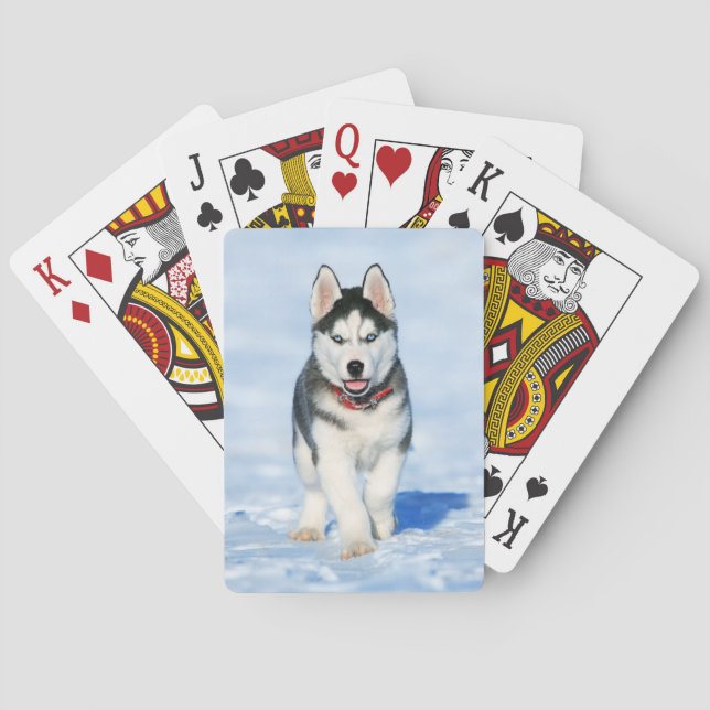 Fluffy Husky Puppy running in the snow Poker Cards (Back)