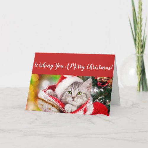 Fluffy Kitten Christmas Card