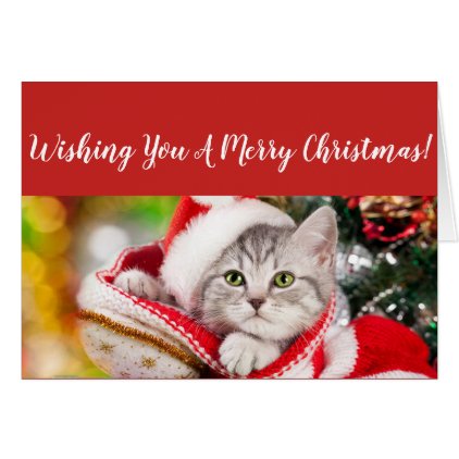 Fluffy Kitten Christmas Card