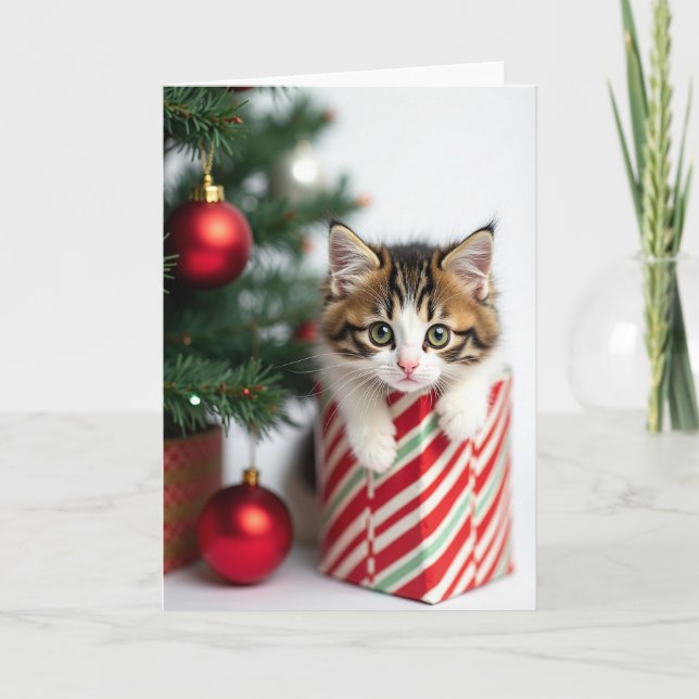 Fluffy Kitten Gift Box Card (Front)