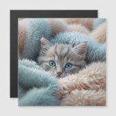 Fluffy Kitten in a Soft Blanket (Front/Back)