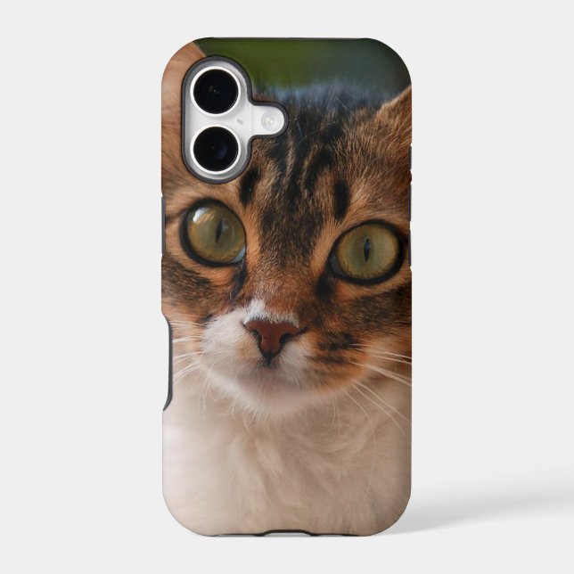 Fluffy Kitten with Green Eyes Photo Case-Mate iPhone Case (Back)