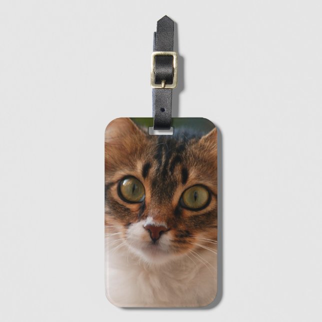 Fluffy Kitten with Green Eyes Photo Luggage Tag (Front Vertical)
