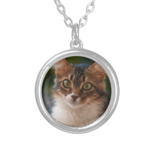 Fluffy Kitten with Green Eyes Photo Silver Plated Necklace