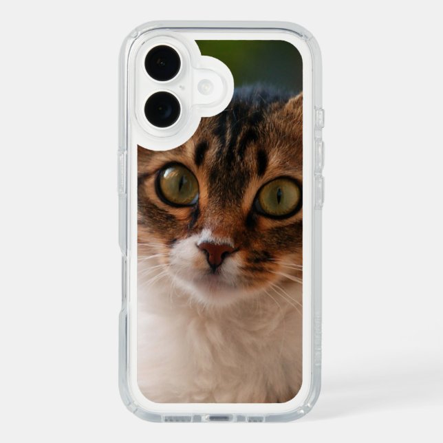 Fluffy Kitten with Green Eyes Photo Speck iPhone Case (Front)
