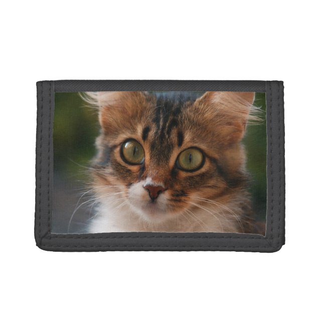 Fluffy Kitten with Green Eyes Trifold Wallet (Front)