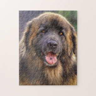 Fluffy Leonberger dog Jigsaw Puzzle