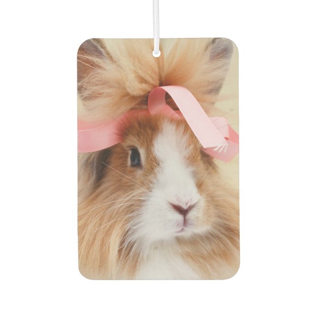 Fluffy Lionhead Bunny Rabbit Air Freshener (Front)