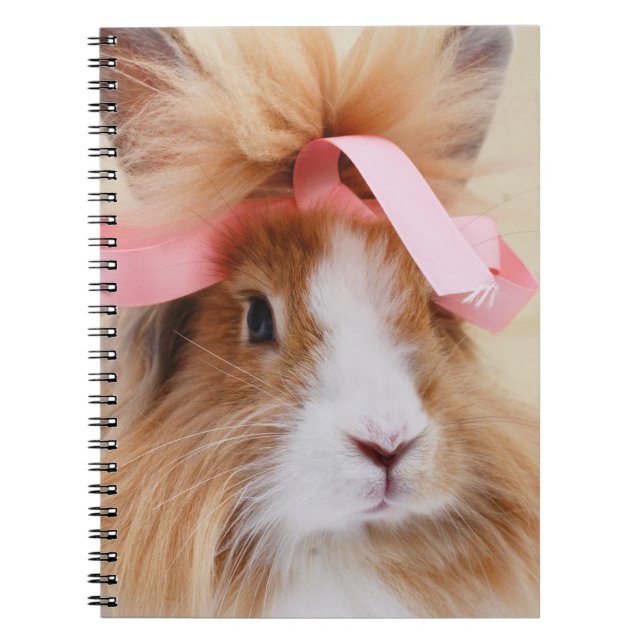 Fluffy Lionhead Bunny Rabbit Notebook (Front)
