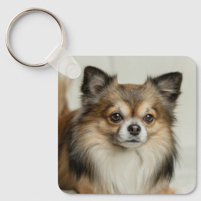 Fluffy Long Haired Chihuahua Puppy Dog Keychain (Front)