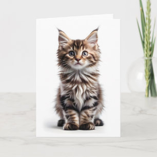 Fluffy Long-Haired Maine Coon Cat Blank Greeting Card