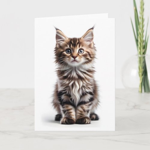 Fluffy Long_Haired Maine Coon Cat Blank Greeting Card