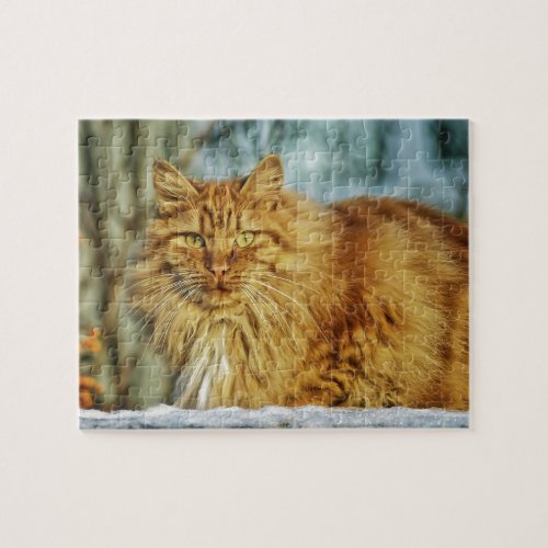 Fluffy Long_Haired Orange Manly Cat Jigsaw Puzzle