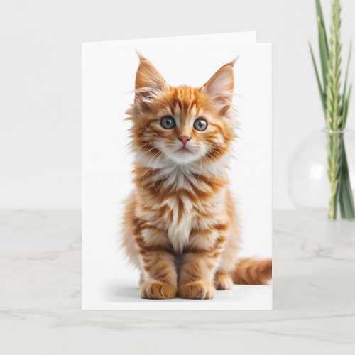 Fluffy Long_Haired Orange Tabby Cat Blank Card