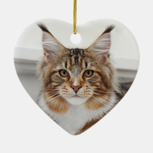 Fluffy Maine Coon Cat Ceramic Ornament (Back)