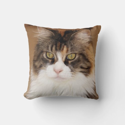 Fluffy Maine Coon Cat Throw Pillow