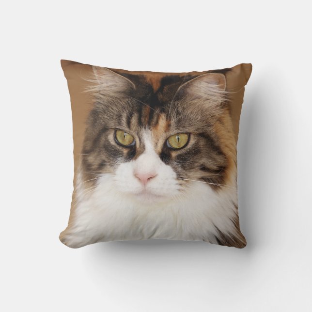Fluffy Maine Coon Cat Throw Pillow (Front)