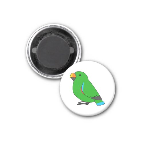 Fluffy male green eclectus parrot cartoon drawing magnet