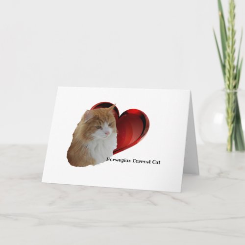 Fluffy Orange Norwegian Long Hair Forest Cat Heart Card