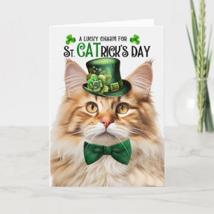 Fluffy Orange Tabby Lucky Charm St CATrick's Day Holiday Card